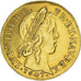 Moeda, França, Louis XIV, Louis d'or à la mèche longue, Louis d'Or, 1647