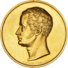 Germany, Medal, Récompense académique, 1916, AU(50-53), Gold