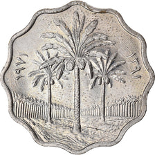 Coin, Iraq, 5 Fils, 1971