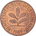 Coin, GERMANY - FEDERAL REPUBLIC, Pfennig, 1989
