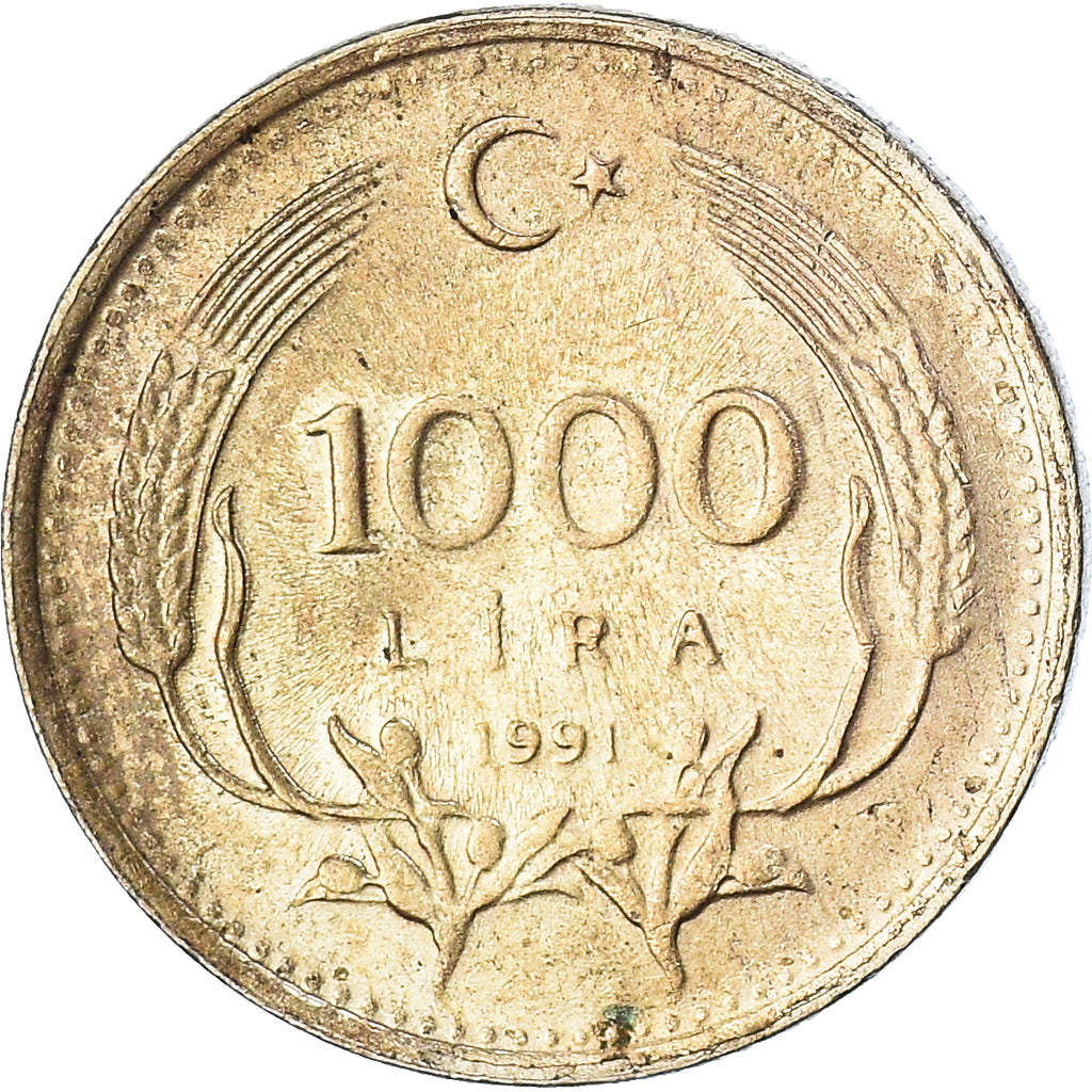 Coin, Turkey, 100 Lira, 1991