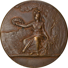 France, Medal, Art Nouveau, Prix, AU(50-53), Bronze