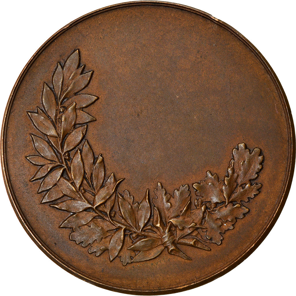 France, Medal, Art Nouveau, Prix, AU(50-53), Bronze