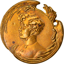 France, Medal, Broche, Napoléon II, L'Aiglon, History, AU(50-53), Brass