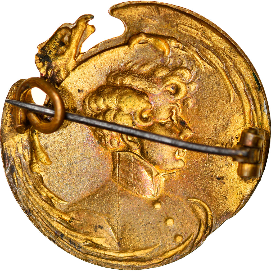France, Medal, Broche, Napoléon II, L'Aiglon, History, AU(50-53), Brass