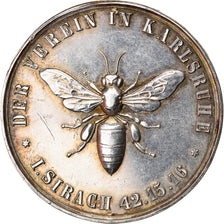 Germany, Medal, Der Verein in Karlsruhe, AU(50-53), Silver