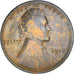Coin, United States, Lincoln Cent, Cent, 1913, U.S. Mint, Philadelphia