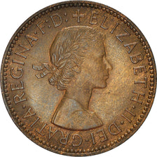 Moneda, Gran Bretaña, Elizabeth II, 1/2 Penny, 1955, BC+, Bronce, KM:896