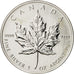 Canada, Elizabeth II, 5 Dollars, 2002, Royal Canadian Mint, SPL, Argento, KM:187