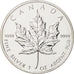 Canada, Elizabeth II, 5 Dollars, 2004, 1 Oz, MS(63), Silver, KM:522