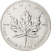 Moneta, Canada, Elizabeth II, 5 Dollars, 2005, Royal Canadian Mint, SPL