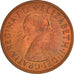 Moneda, Gran Bretaña, Elizabeth II, Penny, 1964, EBC, Bronce, KM:897