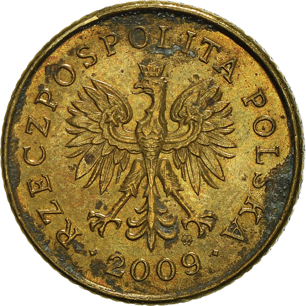 Coin, Poland, Grosz, 2009, Warsaw, VF(30-35), Brass, KM:276