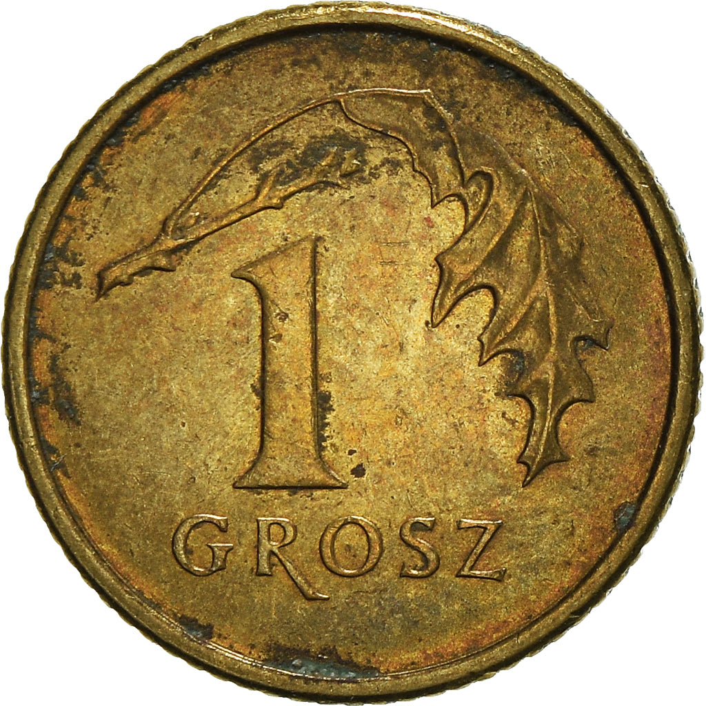 Coin, Poland, Grosz, 2009, Warsaw, VF(30-35), Brass, KM:276