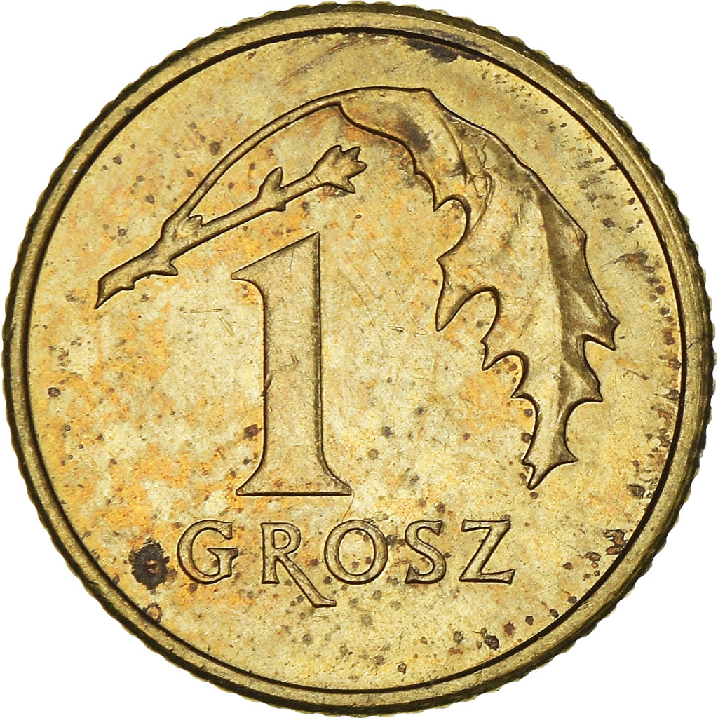 Coin, Poland, Grosz, 2013, Warsaw, VF(30-35), Brass
