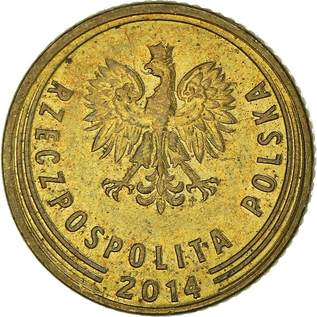 Monnaie, Pologne, Grosz, 2014, Warsaw, TTB+, Laiton