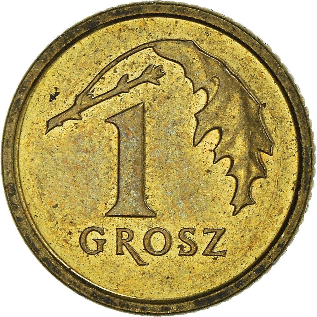 Monnaie, Pologne, Grosz, 2014, Warsaw, TTB+, Laiton