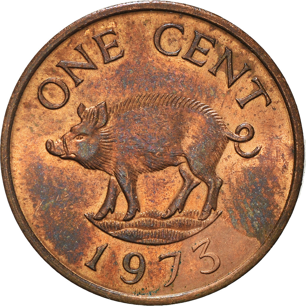 Coin, Bermuda, Elizabeth II, Cent, 1973, EF(40-45), Bronze, KM:15