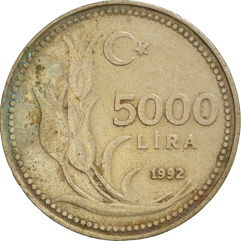 Moneta, Turchia, 5000 Lira, 1992, MB, Nichel-bronzo, KM:1025