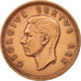 Südafrika, George VI, Penny, 1952, EF(40-45), Bronze, KM:34.2