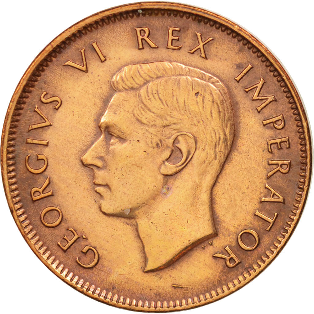South Africa, George VI, 1/2 Penny, 1942, EF(40-45), Bronze, KM:24