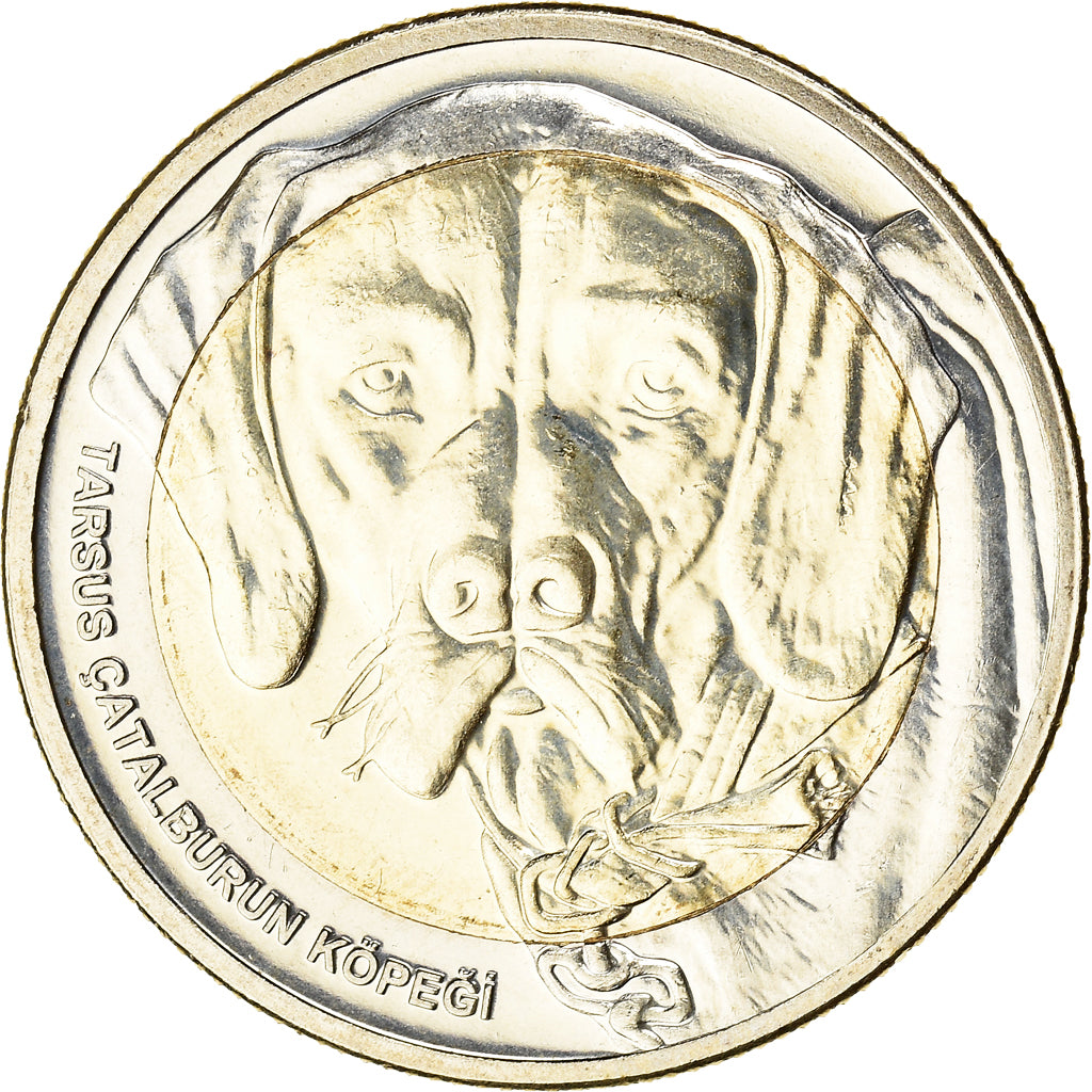 Monnaie, Turquie, Chien - Tarse Catalburun, Kurus, 2021, SPL, Bimétallique