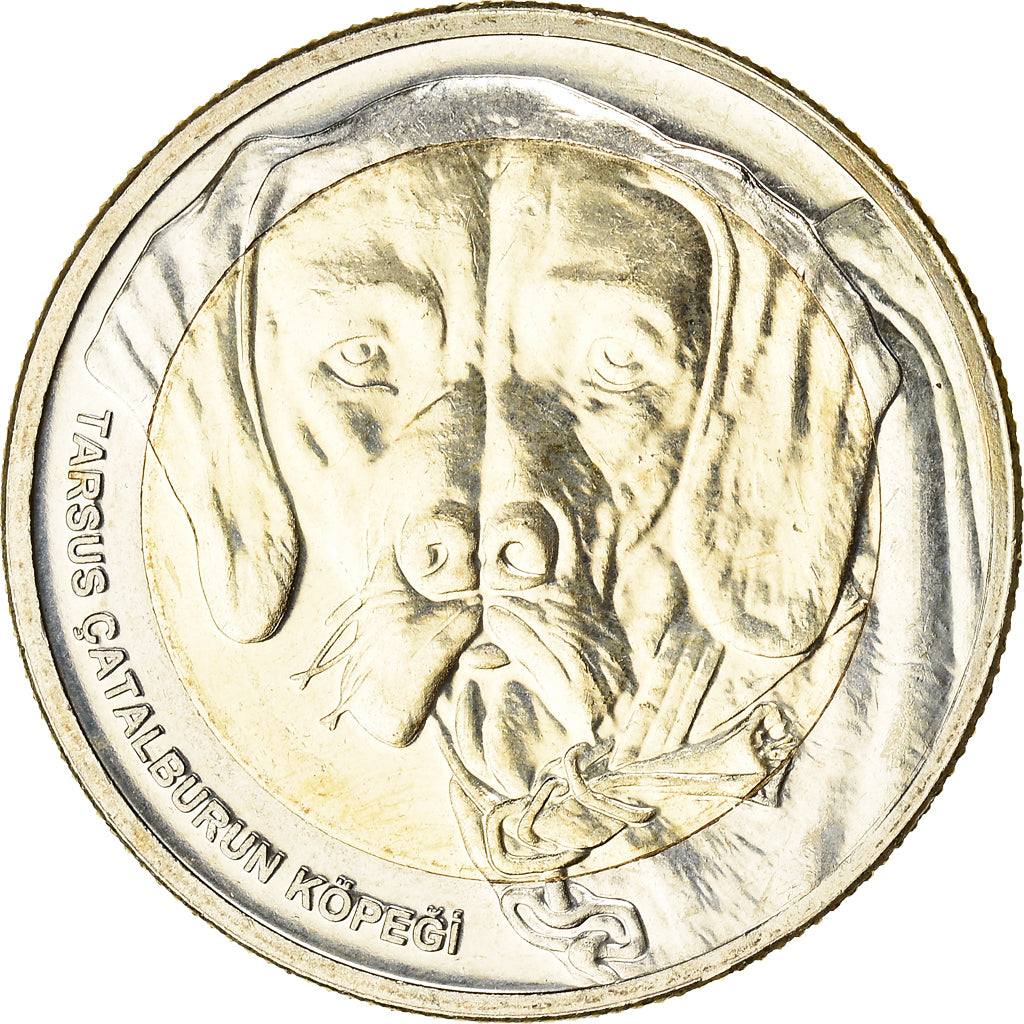 Monnaie, Turquie, Chien - Tarse Catalburun, Kurus, 2021, SPL, Bimétallique