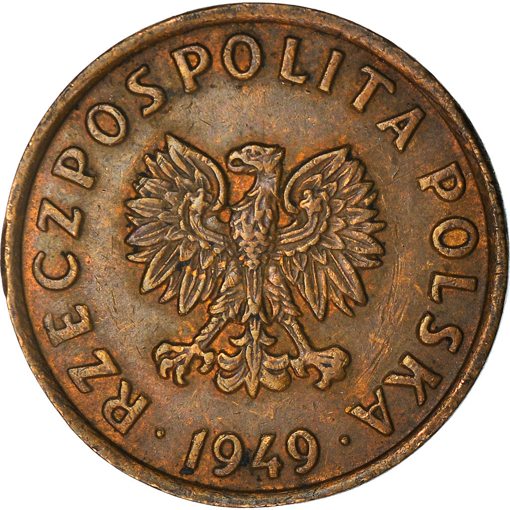 Moneta, Polonia, 5 Groszy, 1949, Basel, BB, Bronzo, KM:41