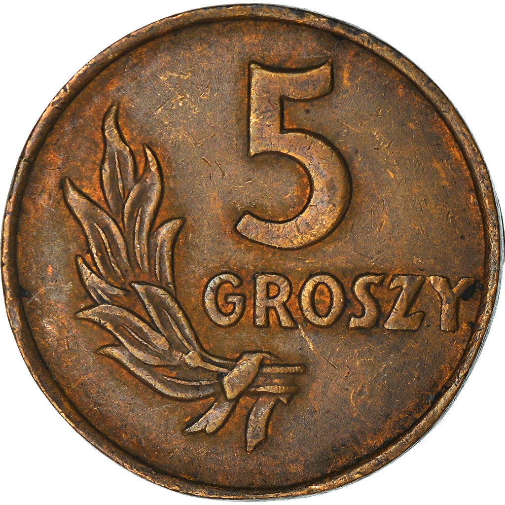 Moneta, Polonia, 5 Groszy, 1949, Basel, BB, Bronzo, KM:41