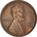 Moeda, Estados Unidos da América, Lincoln Cent, Cent, 1955, U.S. Mint
