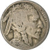Coin, United States, Buffalo Nickel, 5 Cents, 1935, U.S. Mint, Philadelphia