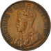 Coin, South Africa, George V, Penny, 1934, EF(40-45), Bronze, KM:14.3