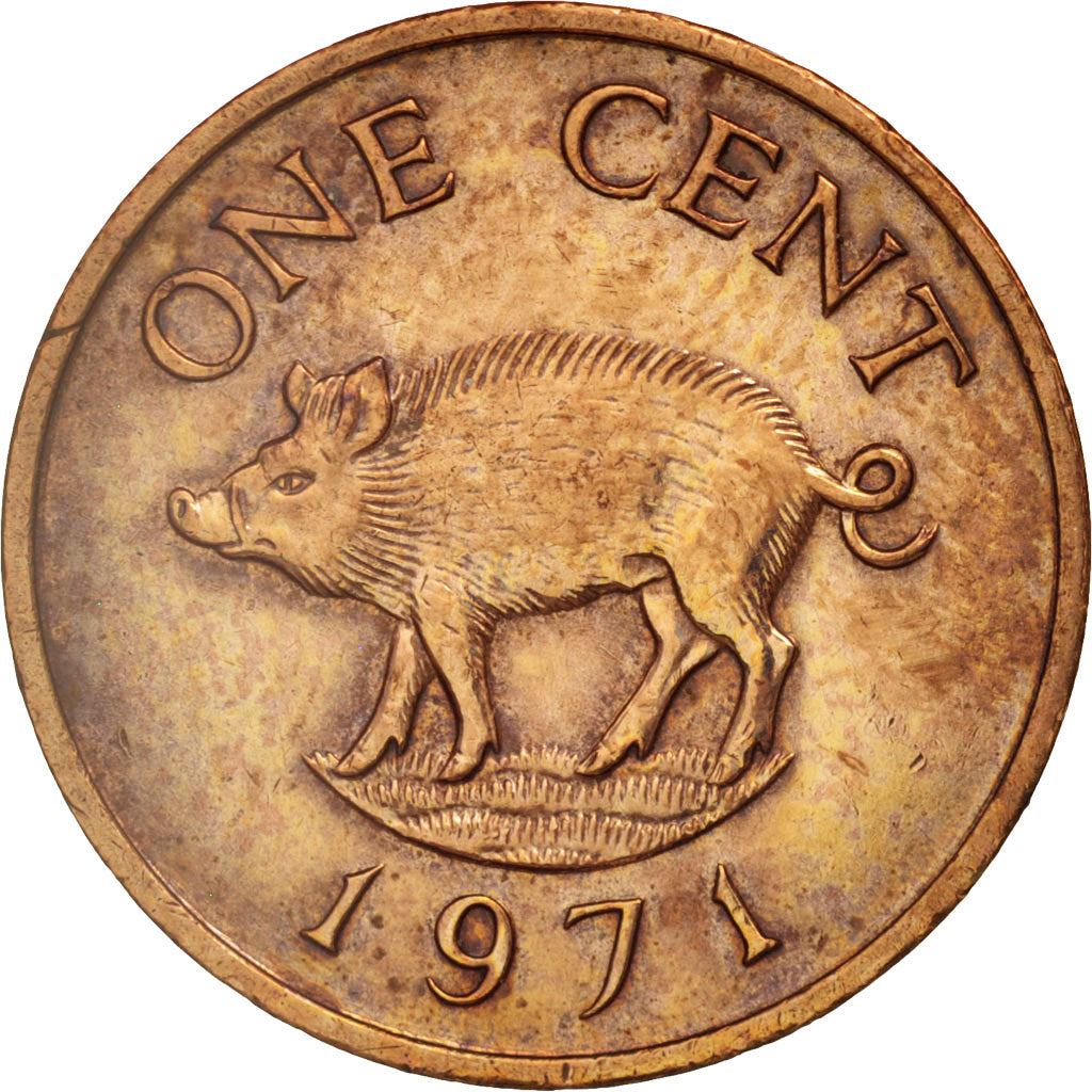Bermuda, Elizabeth II, Cent, 1971, AU(50-53), Bronze, KM:15
