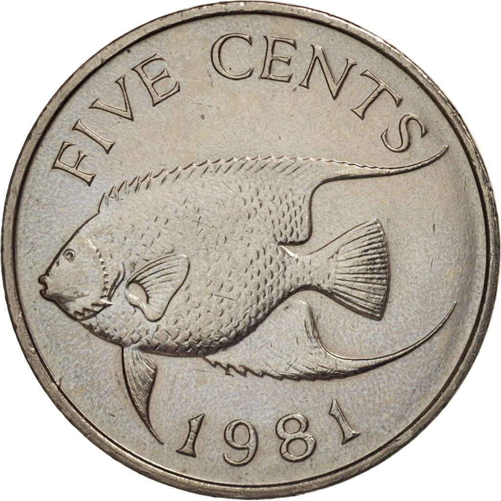 Bermuda, Elizabeth II, 5 Cents, 1981, AU(55-58), Copper-nickel, KM:16