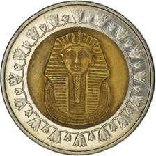 Münze, Ägypten, Pound