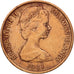 Solomon Islands, Elizabeth II, Cent, 1981, EF(40-45), Bronze, KM:1