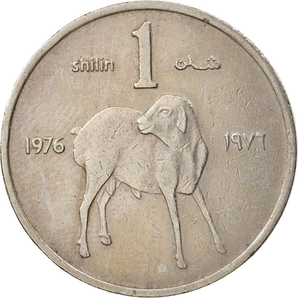 Somalia, Shilling, 1976, EF(40-45), Copper-nickel, KM:27
