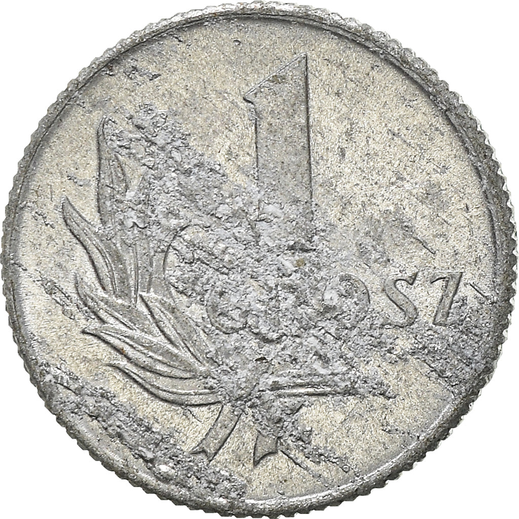 Moneta, Polonia, Grosz, 1949