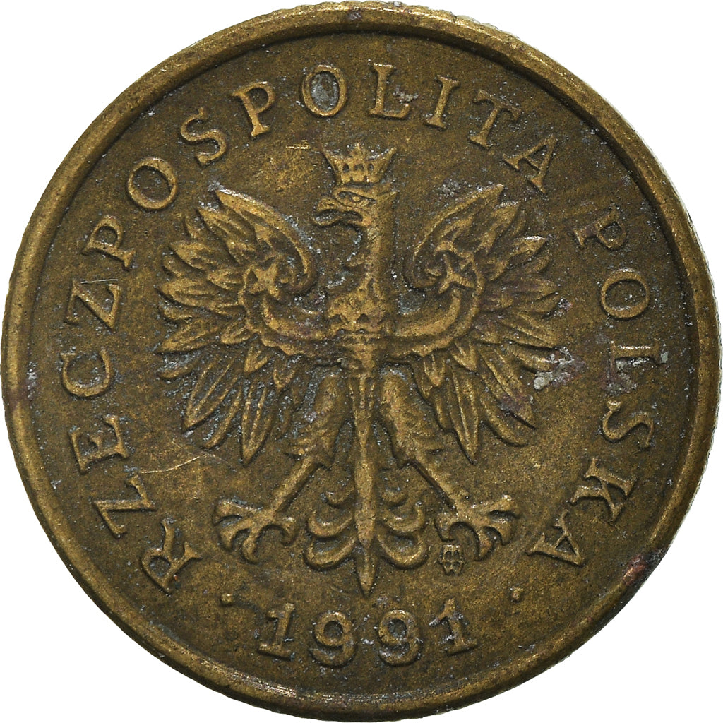 Monnaie, Pologne, 5 Groszy, 1991