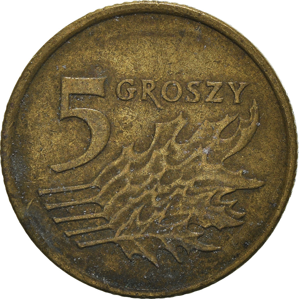 Monnaie, Pologne, 5 Groszy, 1991