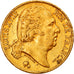 Coin, France, Louis XVIII, Louis XVIII, 20 Francs, 1821, Paris, EF(40-45), Gold