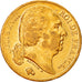Münze, Frankreich, Louis XVIII, Louis XVIII, 20 Francs, 1819, Paris, SS+, Gold