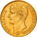 Monnaie, France, Napoléon I, 40 Francs, An 12, Paris, TTB+, Or, Gadoury:1080