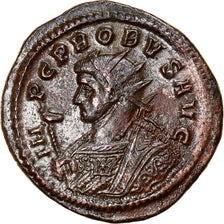 Coin, Probus, Antoninianus, 276-282, Ticinum, AU(55-58), Billon, RIC:480