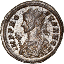 Coin, Probus, Antoninianus, 278, Roma, MS(60-62), Billon, RIC:202