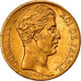 Moneda, Francia, Charles X, 20 Francs, 1828, Paris, MBC+, Oro, KM:726.1