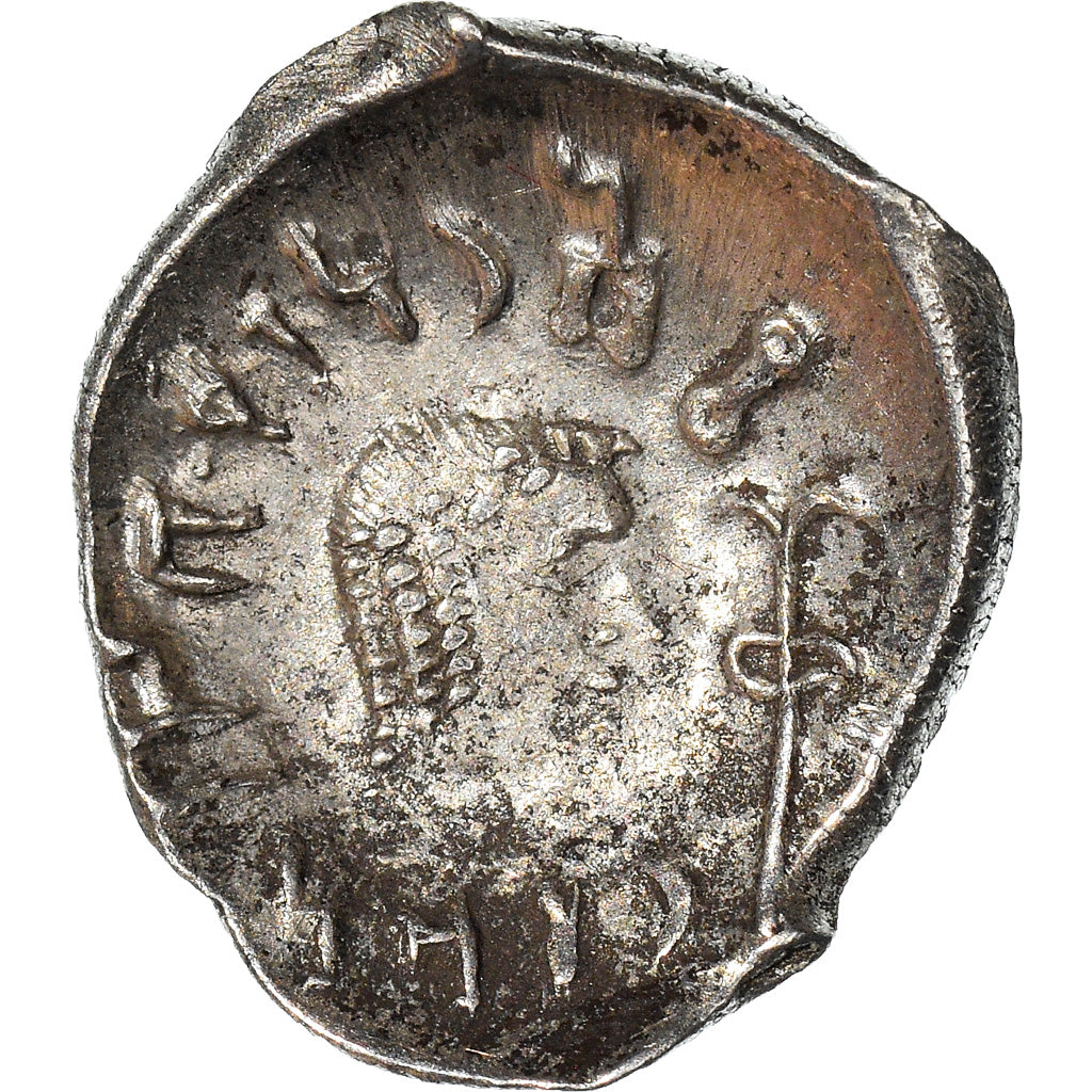 Monnaie, Arabia Felix, Himyarites, Tha'rān Ya'ūb Yuhan'im, Quinaire, 175-215