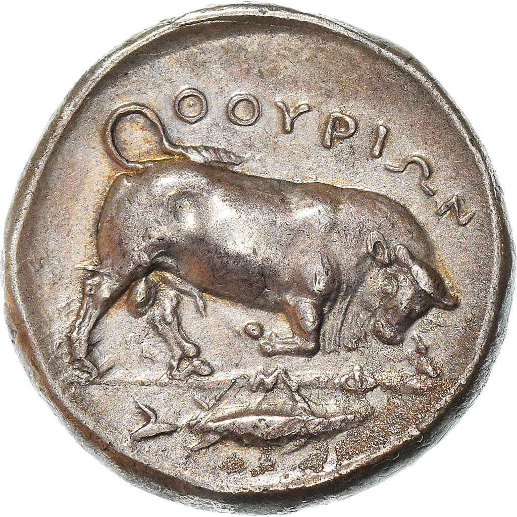 Moneda, Lucania, Thurium, Stater, 400-350 BC, EBC, Plata, SNG ANS:1009, HN