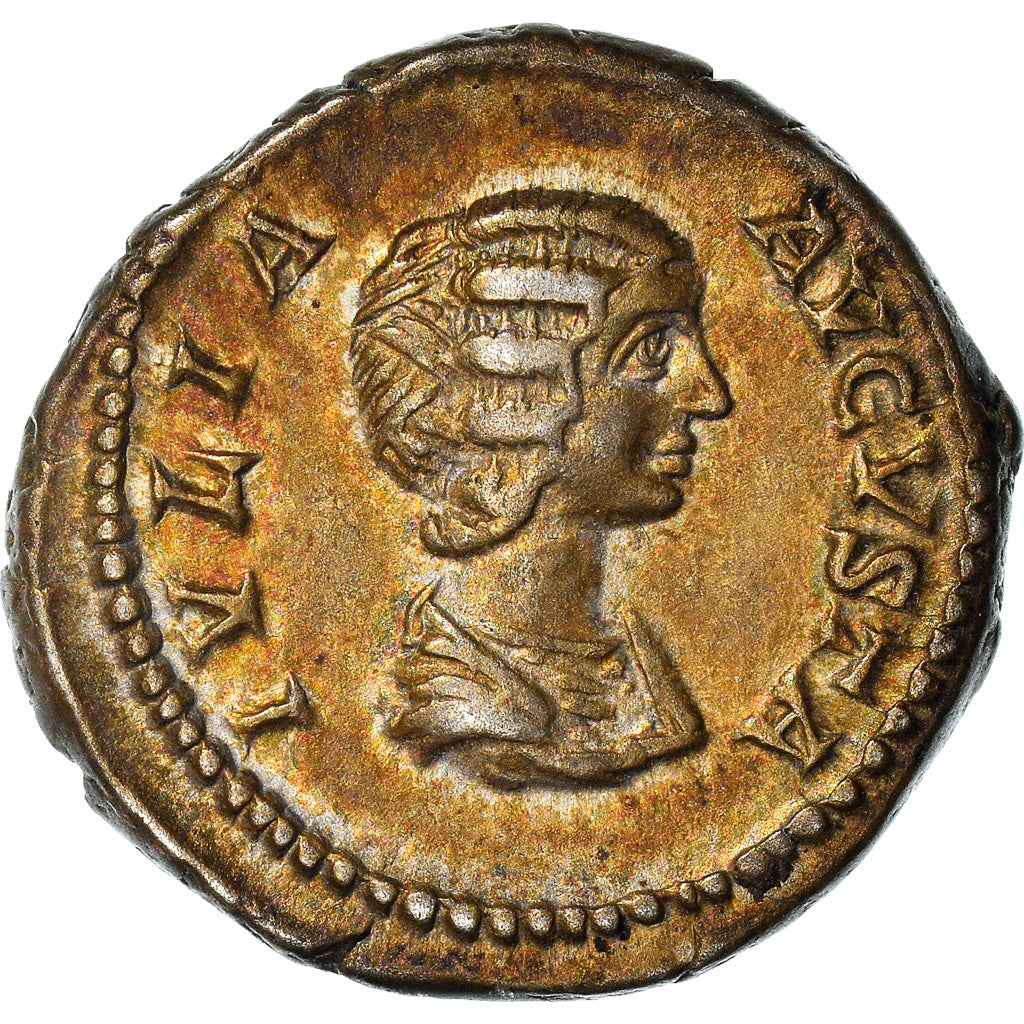 Coin, Julia Domna with Geta, Denarius, 201-205, Rome, MS(60-62), Silver, RIC:571