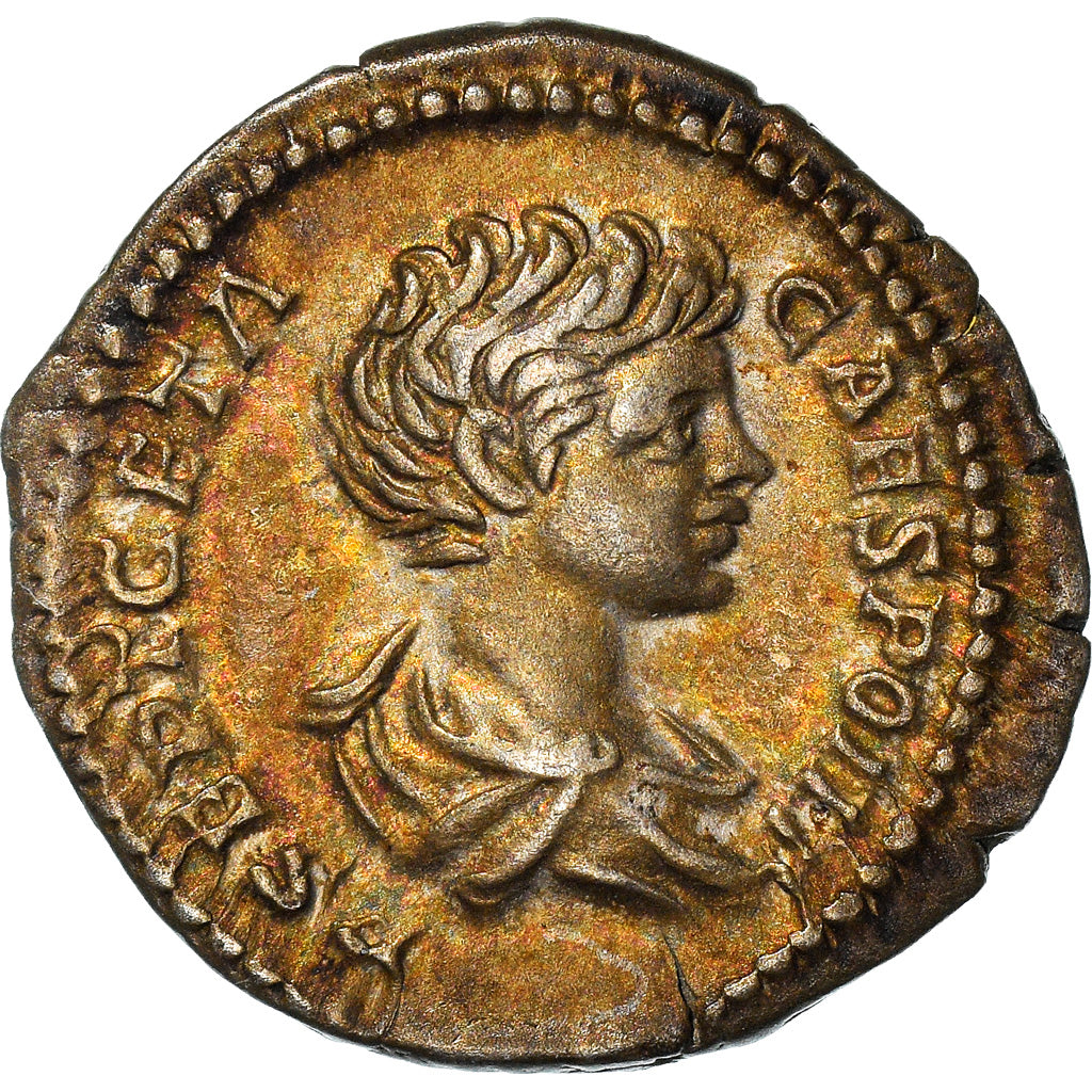 Coin, Julia Domna with Geta, Denarius, 201-205, Rome, MS(60-62), Silver, RIC:571
